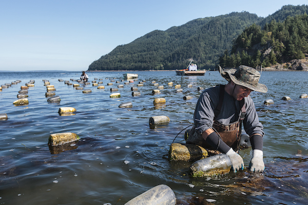 Fisher working in the water